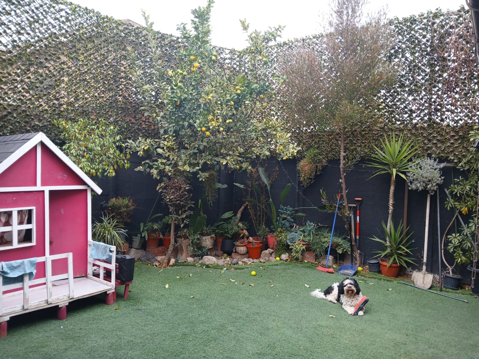 Patio con pasto sintético