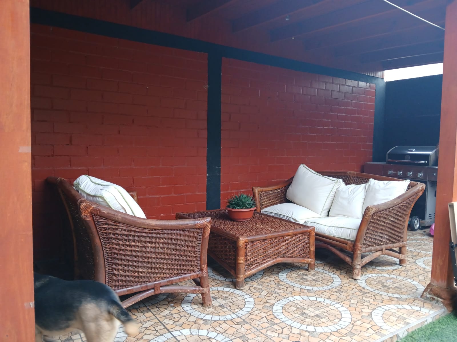 Terraza y quincho